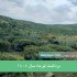 خرید عسل بکر کوهی سمیرم
