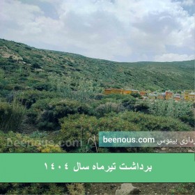 خرید عسل بکر کوهی سمیرم