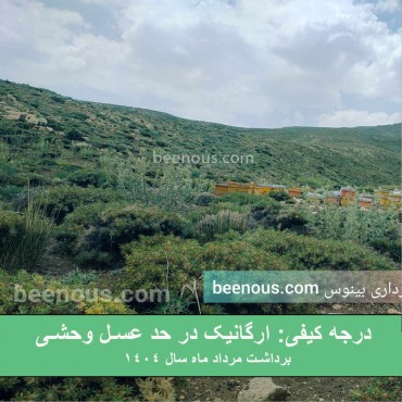 خرید عسل کوهی سمیرم