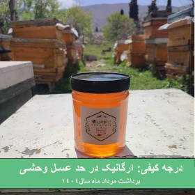 خرید عسل آویشن کوهی
