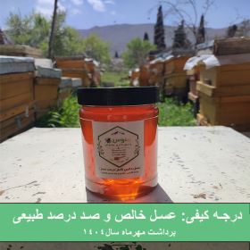 خرید عسل کنار طبیعی