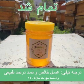 عسل گون گز کوهی