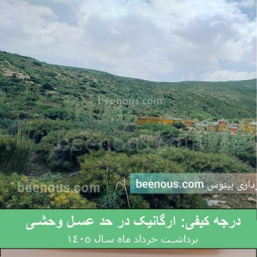 خرید عسل کوهی سمیرم