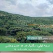 خرید عسل کوهی سمیرم