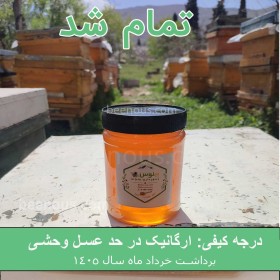 خرید عسل آویشن کوهی