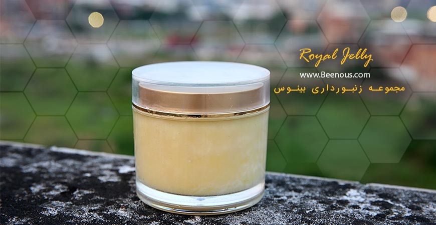 تاثیر ژل رویال در کاهش کلسترول و سطح چربی