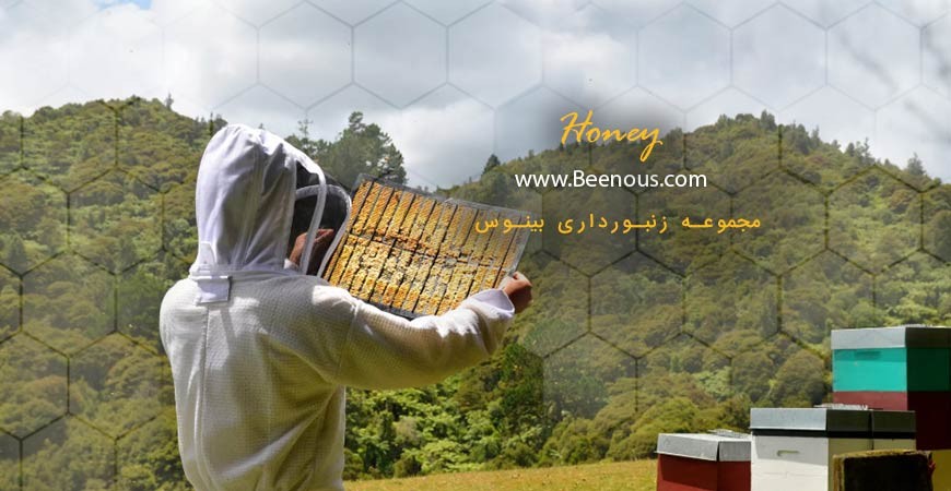 خواص درمانی و نکاتی در مورد بره موم 