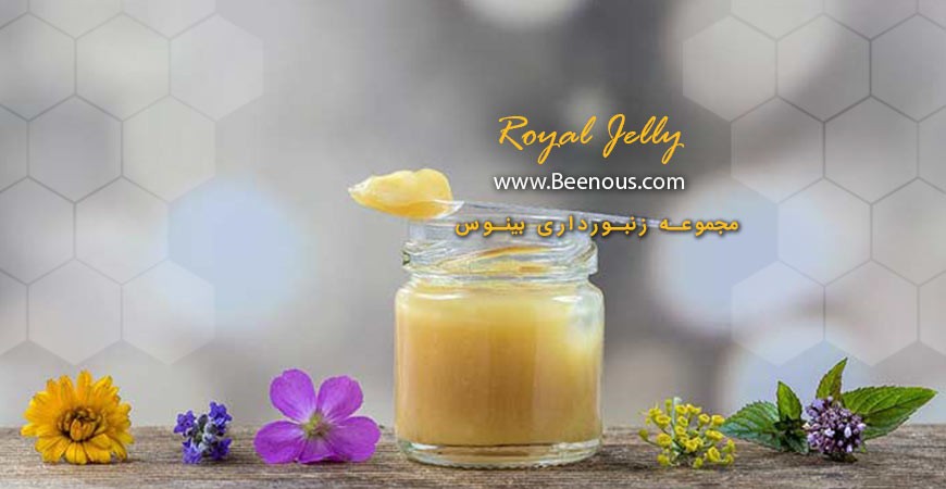 طریقه مصرف ژل رویال جهت خواص درمانی