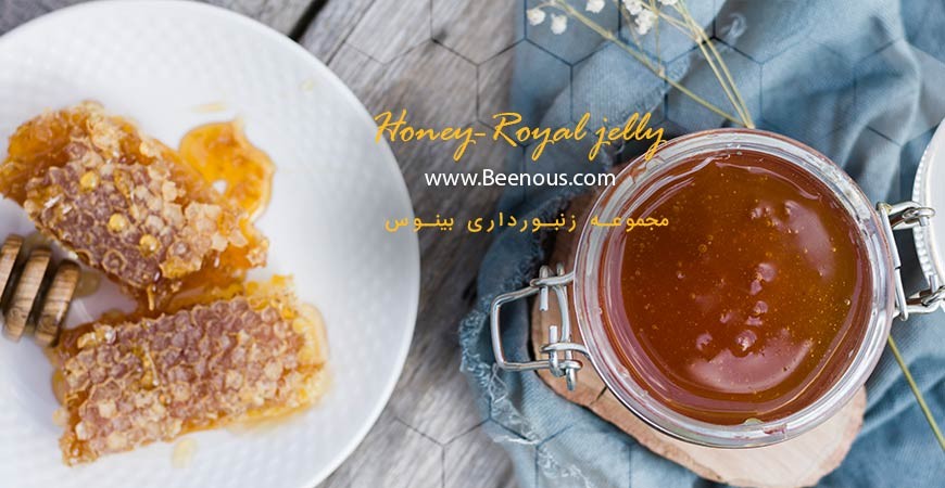 نقش ژل رویال و عسل در تقویت سیستم ایمنی بدن