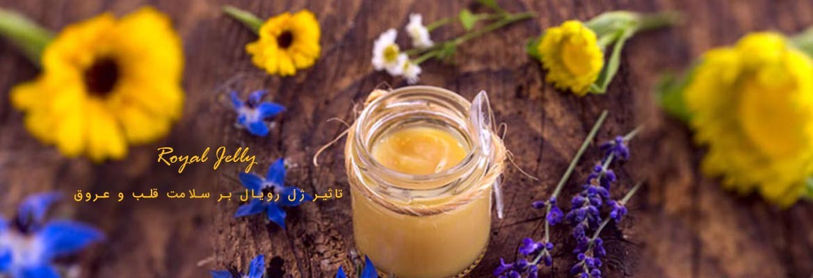 اسلایدر اول